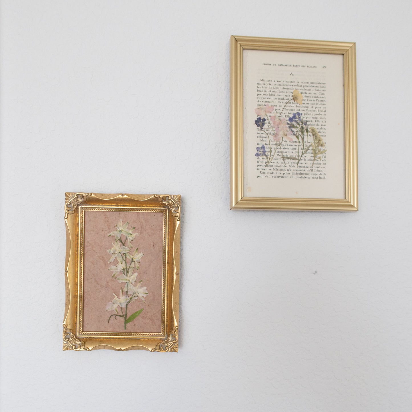 Pressed White Larkspur in a Vintage Frame