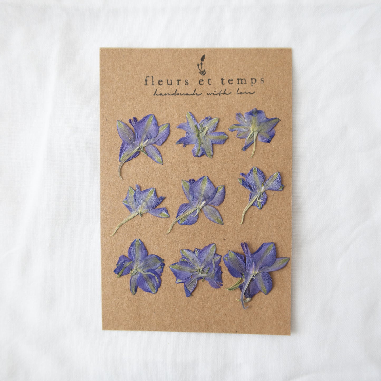 Pressed Purple Larkspurs