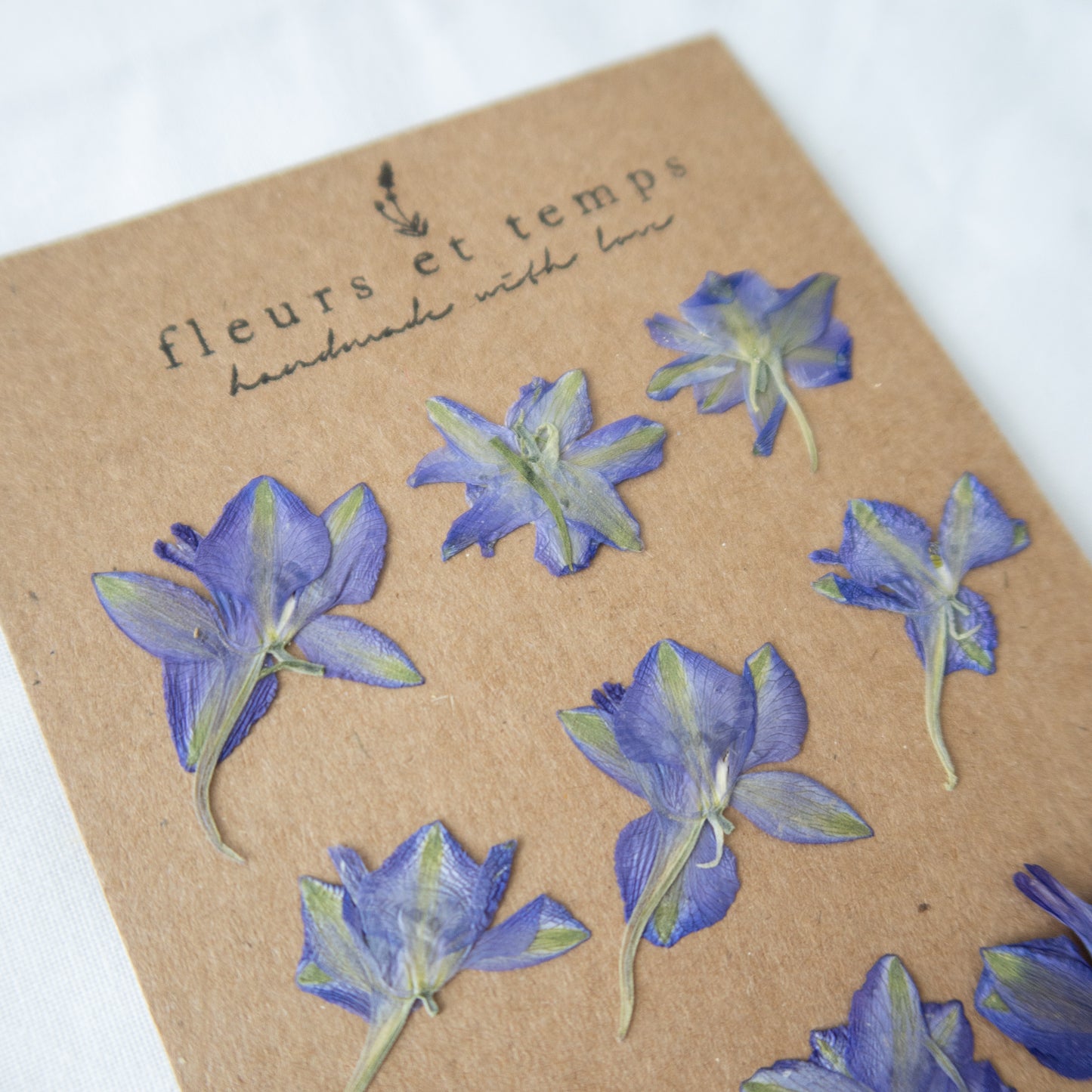 Pressed Purple Larkspurs