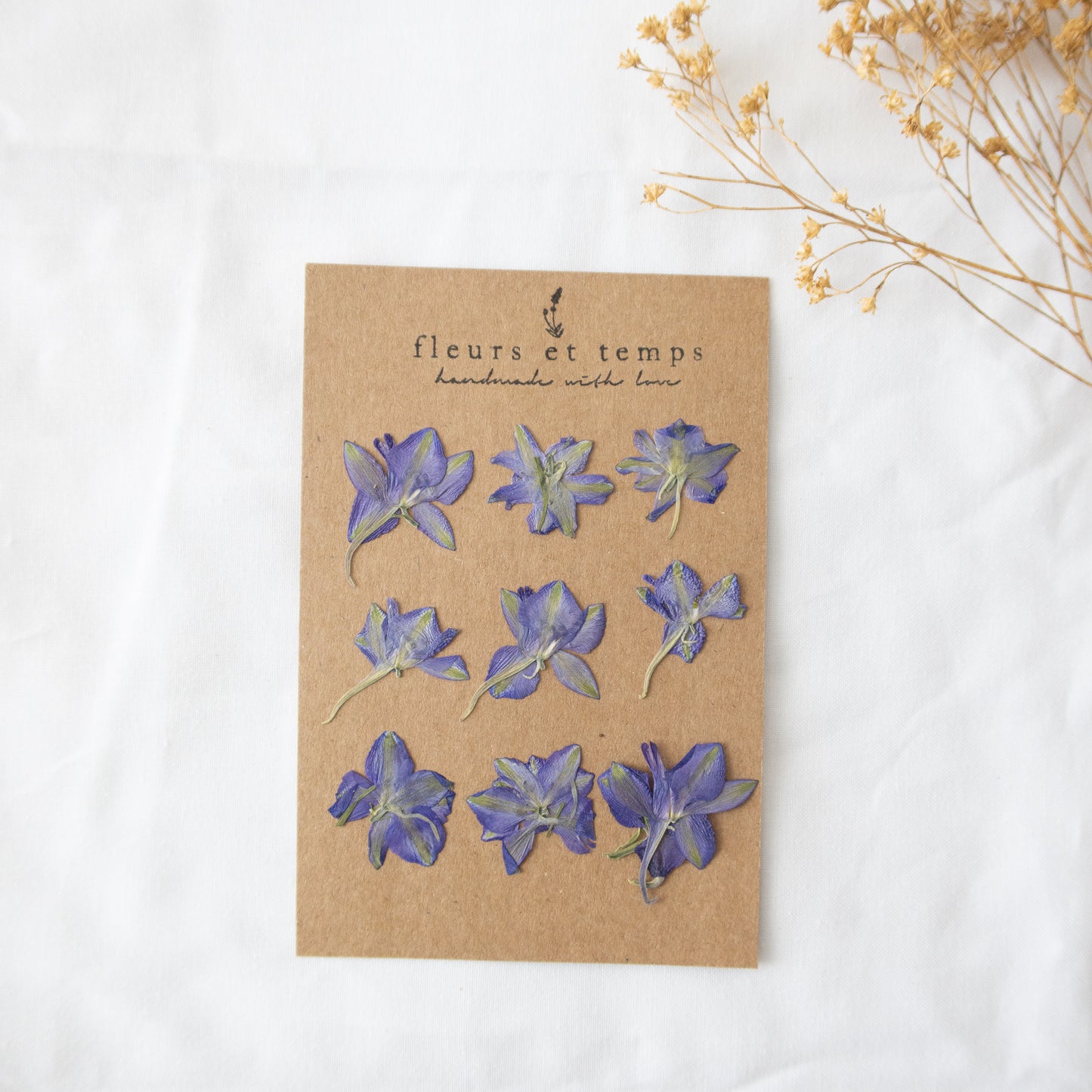 Pressed Purple Larkspurs