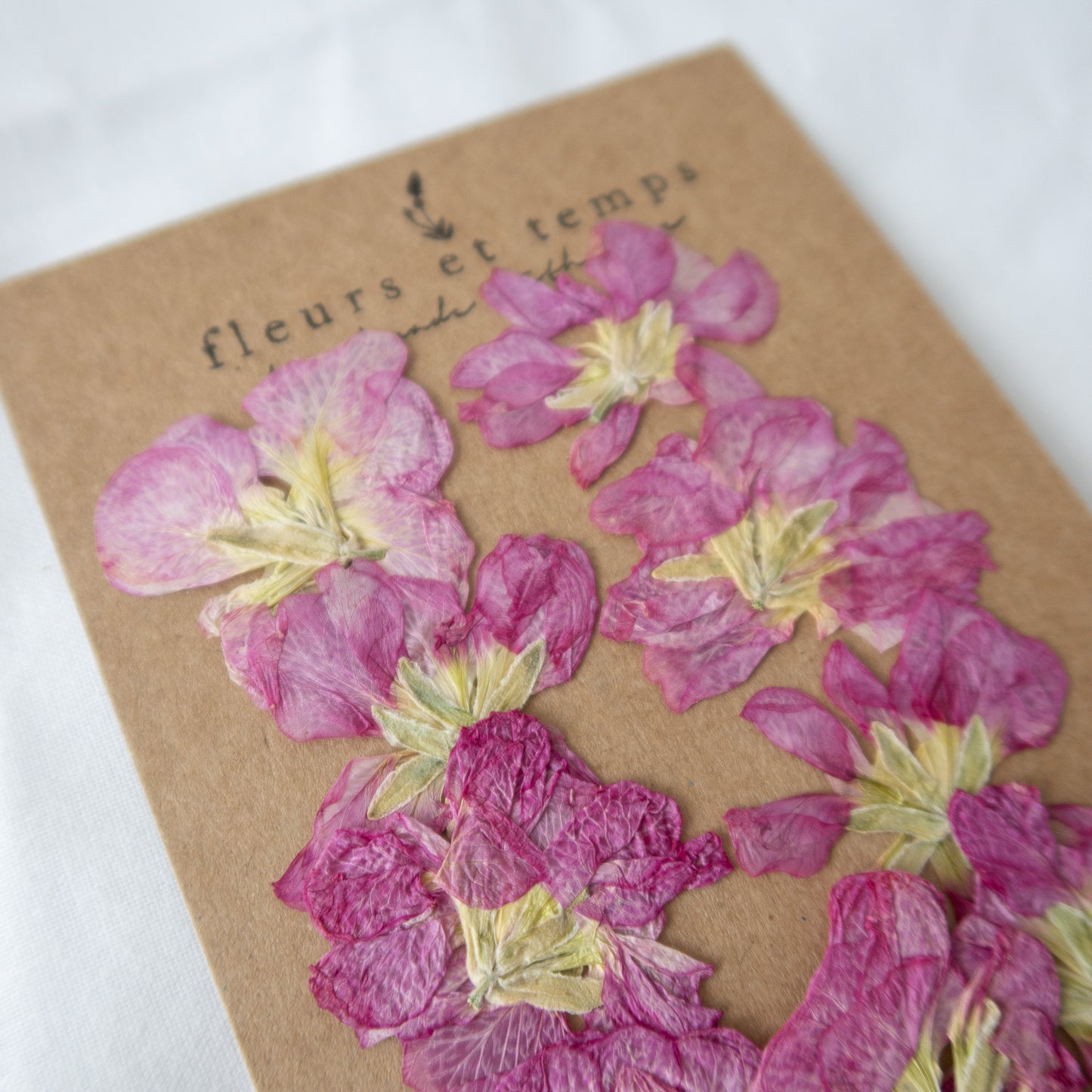 Pressed Pink Stock Flowers