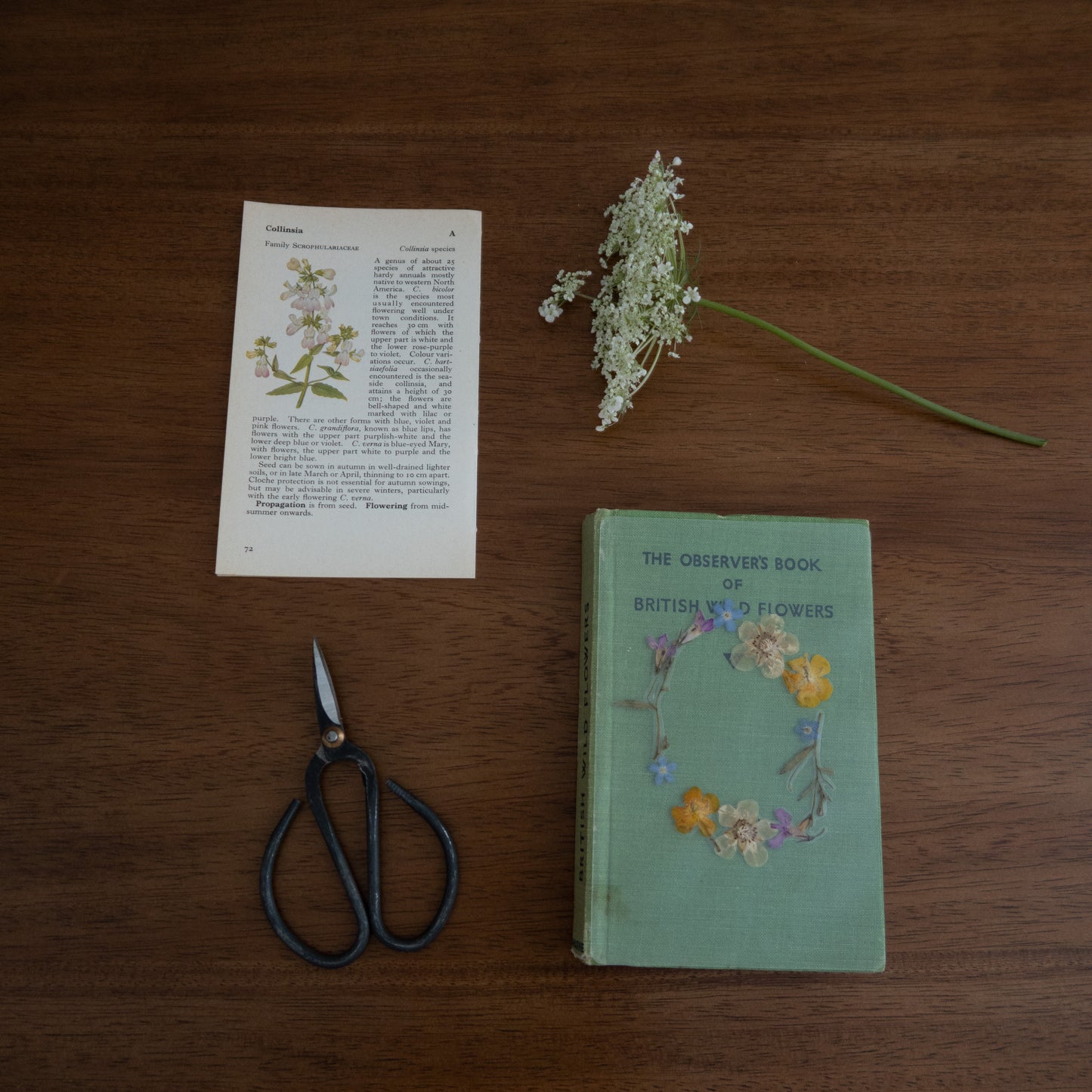"Lady of Shalott" Bookmark