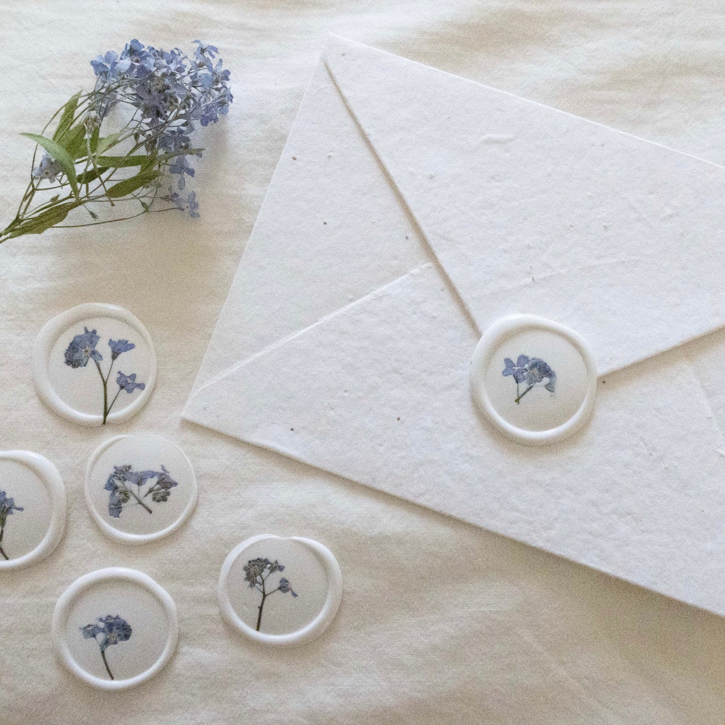 Pressed Forget Me Not Wax Seal