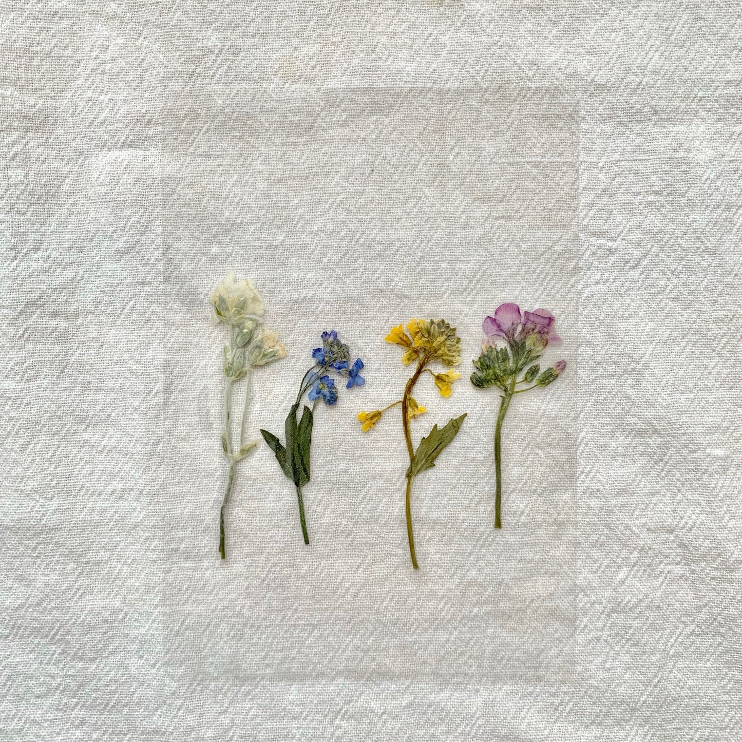 "Wildflower Fields" Bookmark