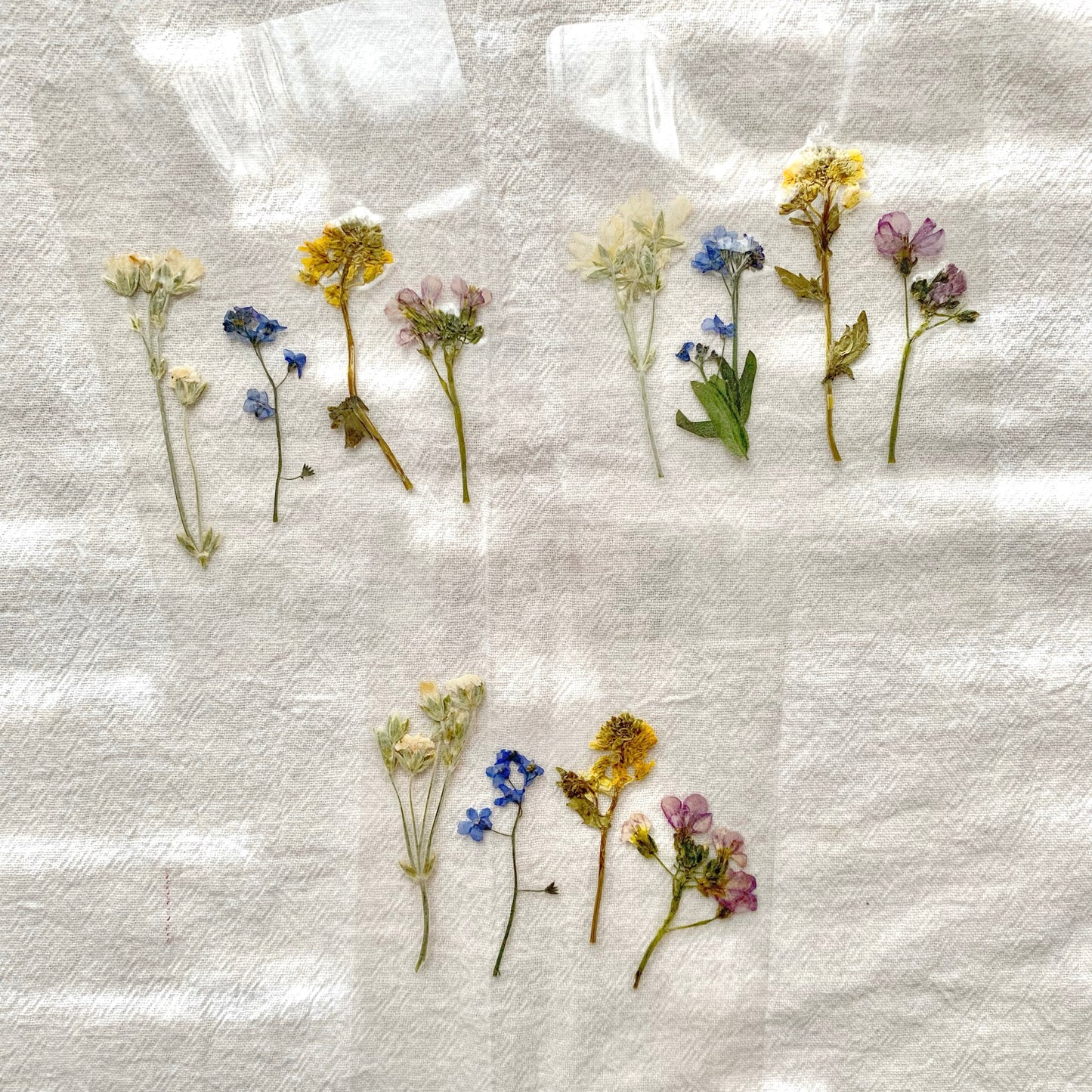 "Wildflower Fields" Bookmark