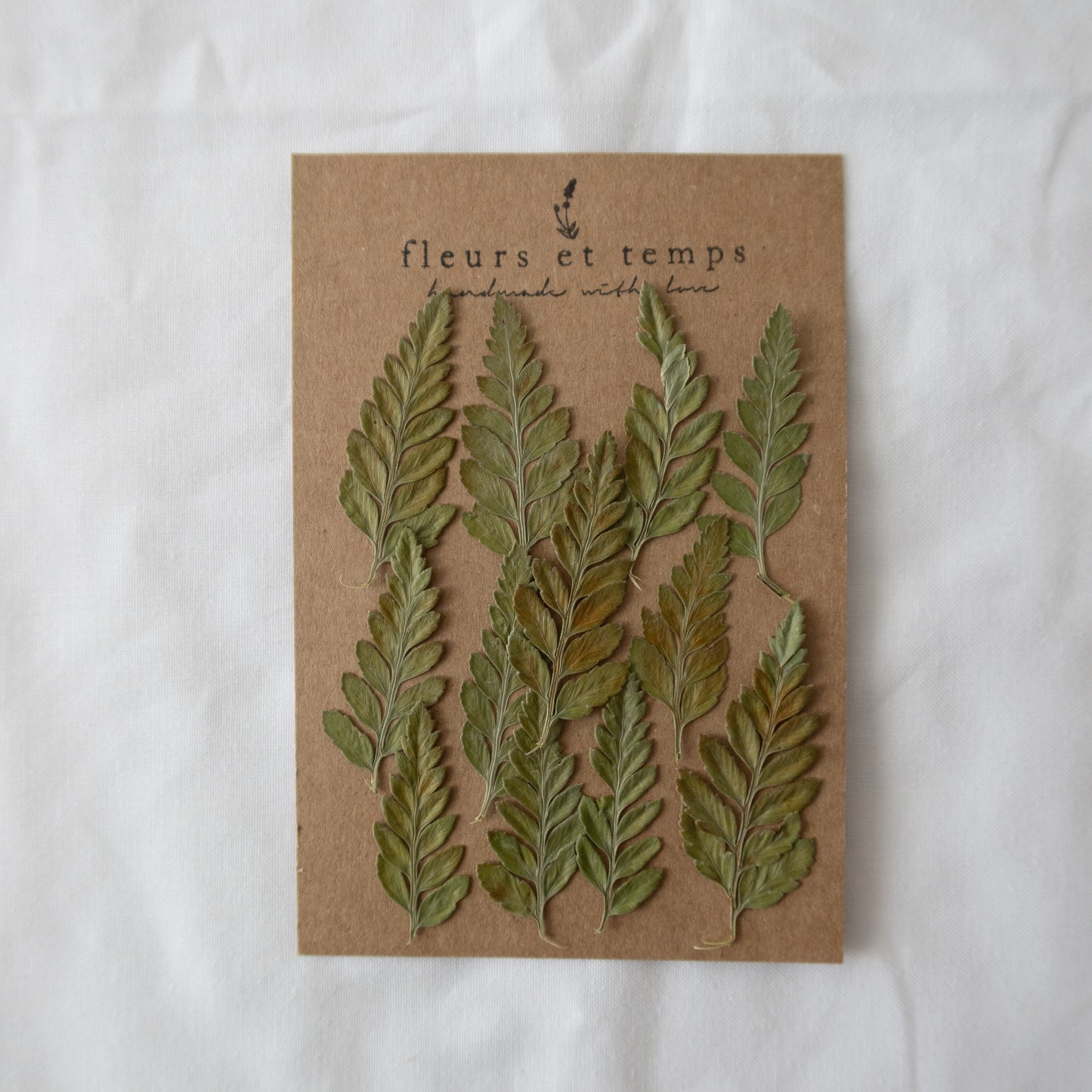 Pressed Autumn Fern