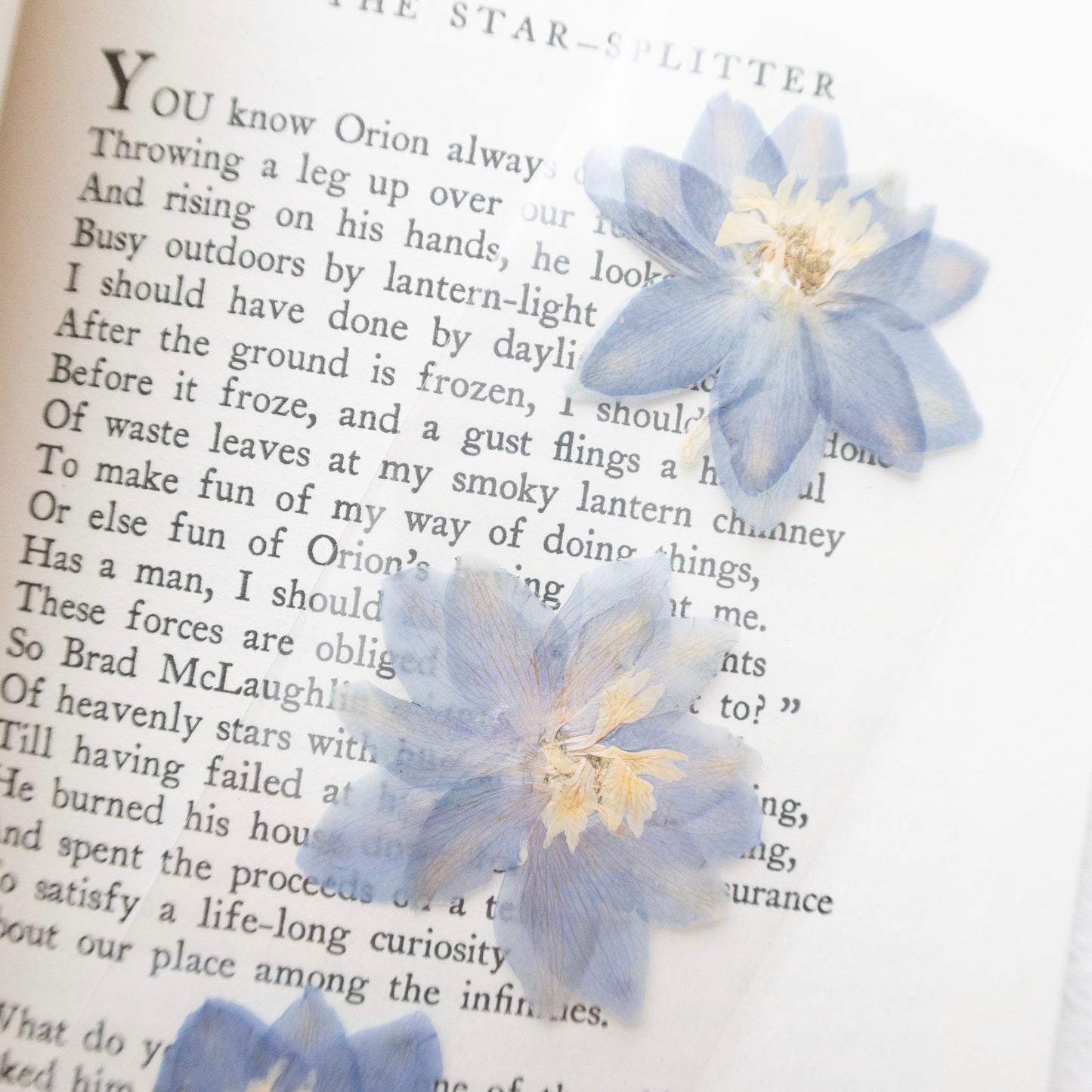 "Le Reve" Blue Larkspur Bookmark