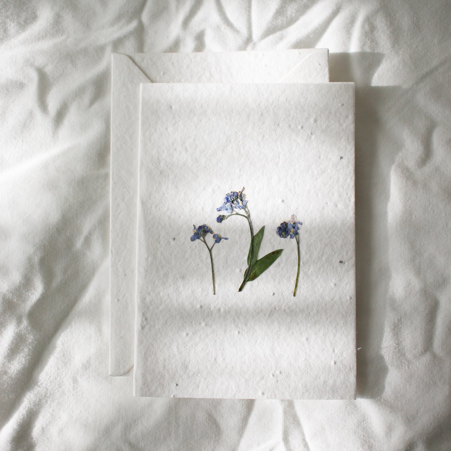 Pressed Flower Plantable Greeting Card