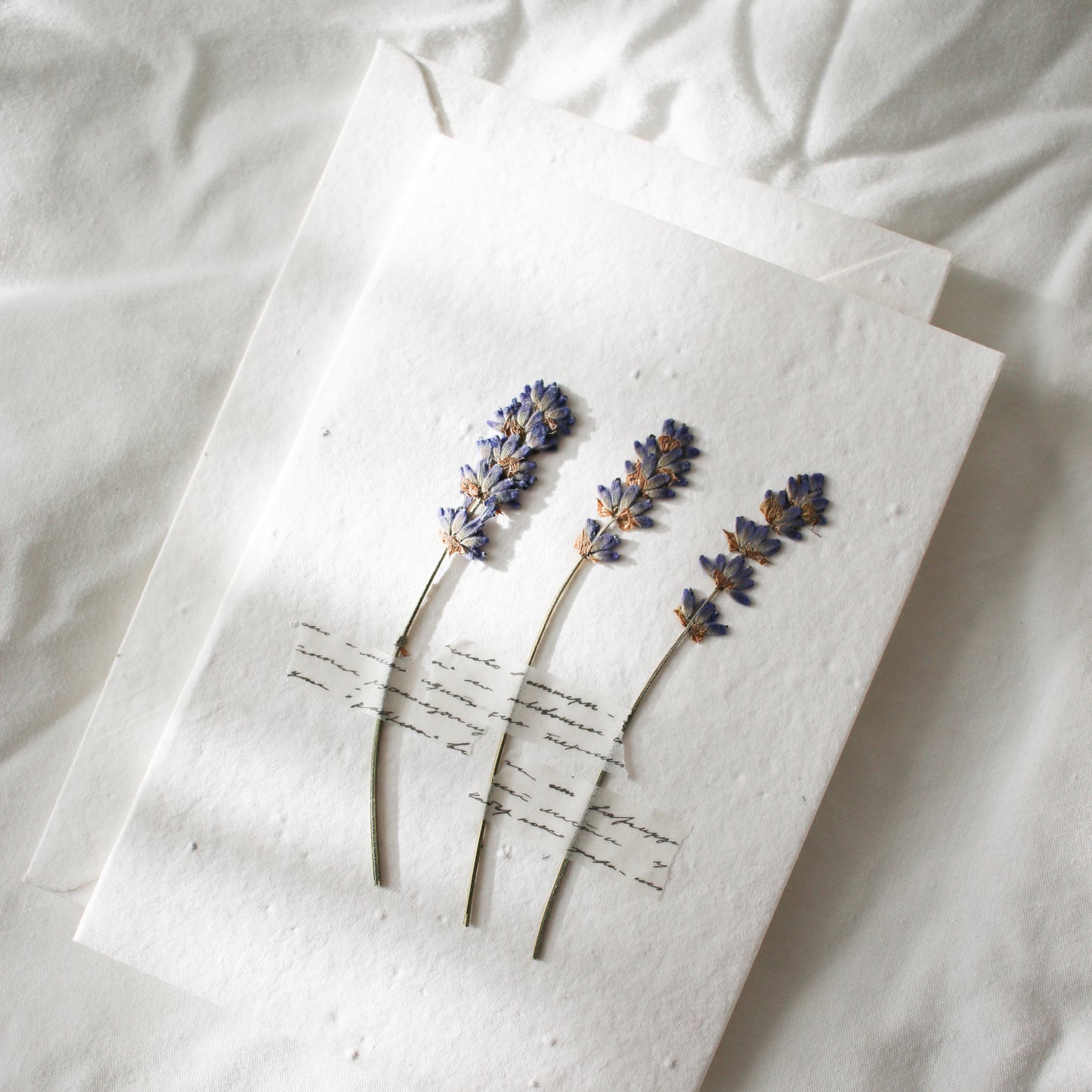 Pressed Flower Plantable Greeting Card