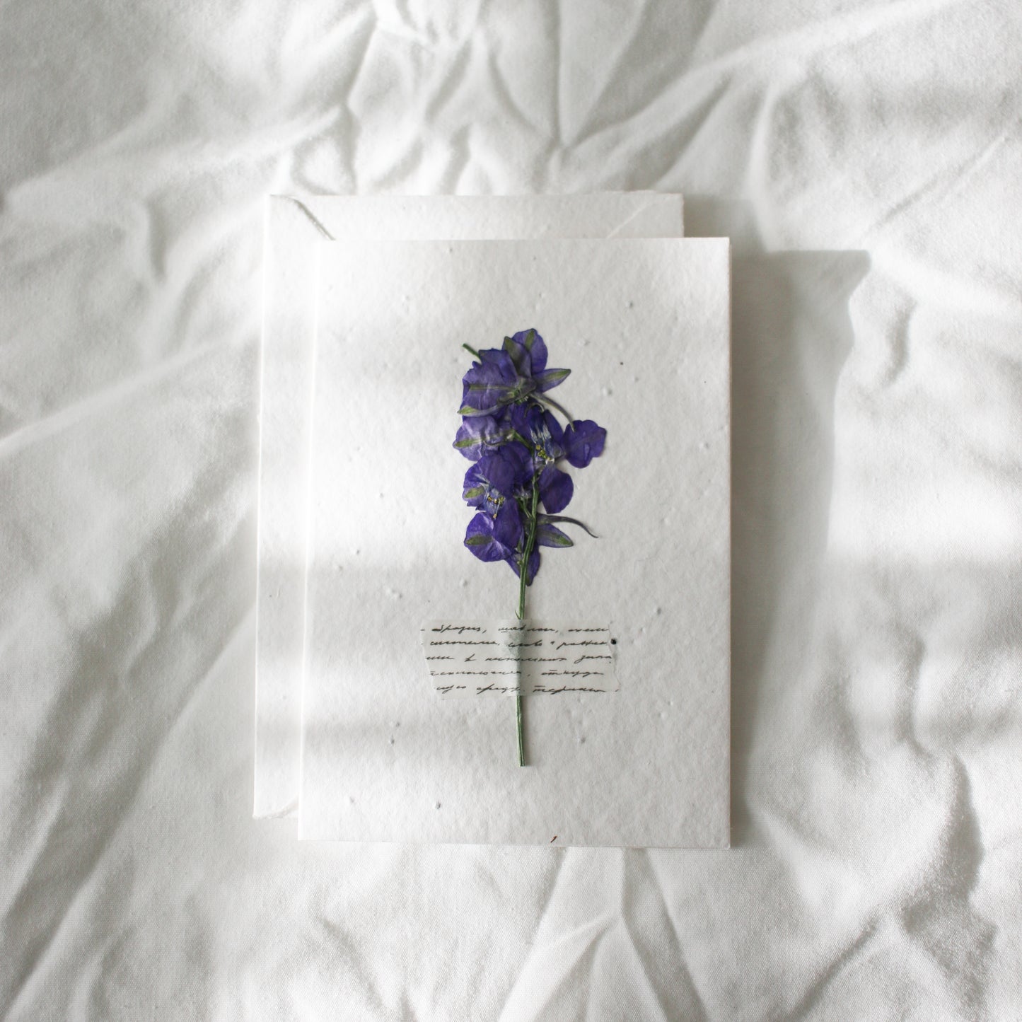 Pressed Flower Plantable Greeting Card