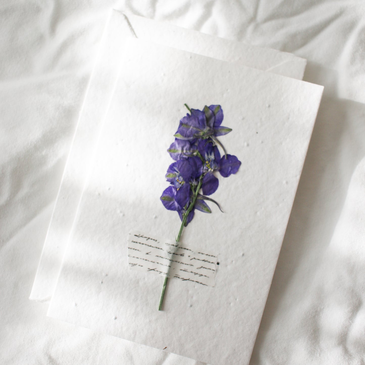 Pressed Flower Plantable Greeting Card