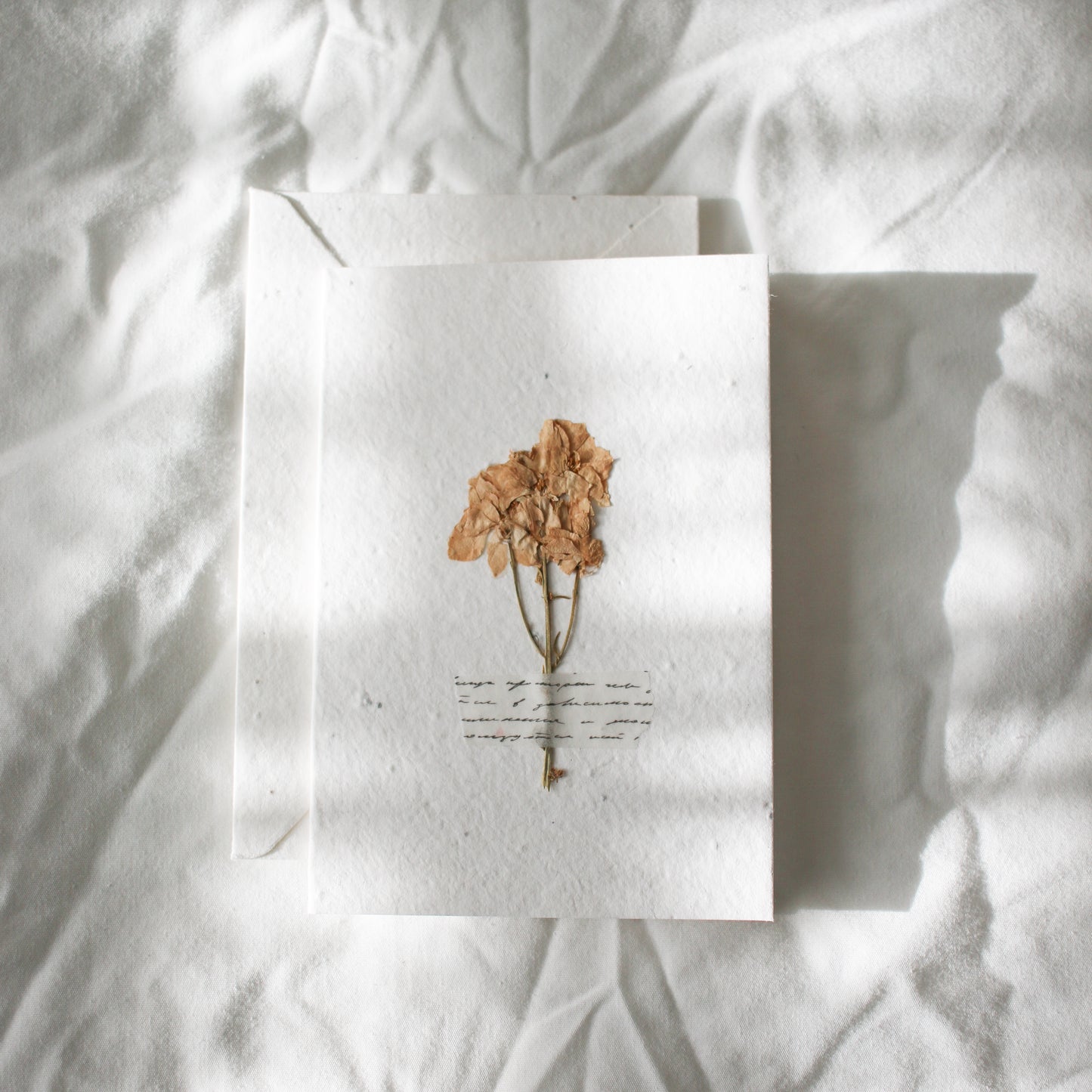 Pressed Flower Plantable Greeting Card