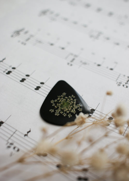 Guitar Pick - Black Pick