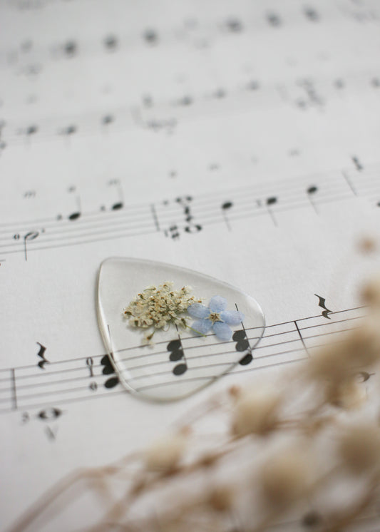 Guitar Pick - Clear Pick
