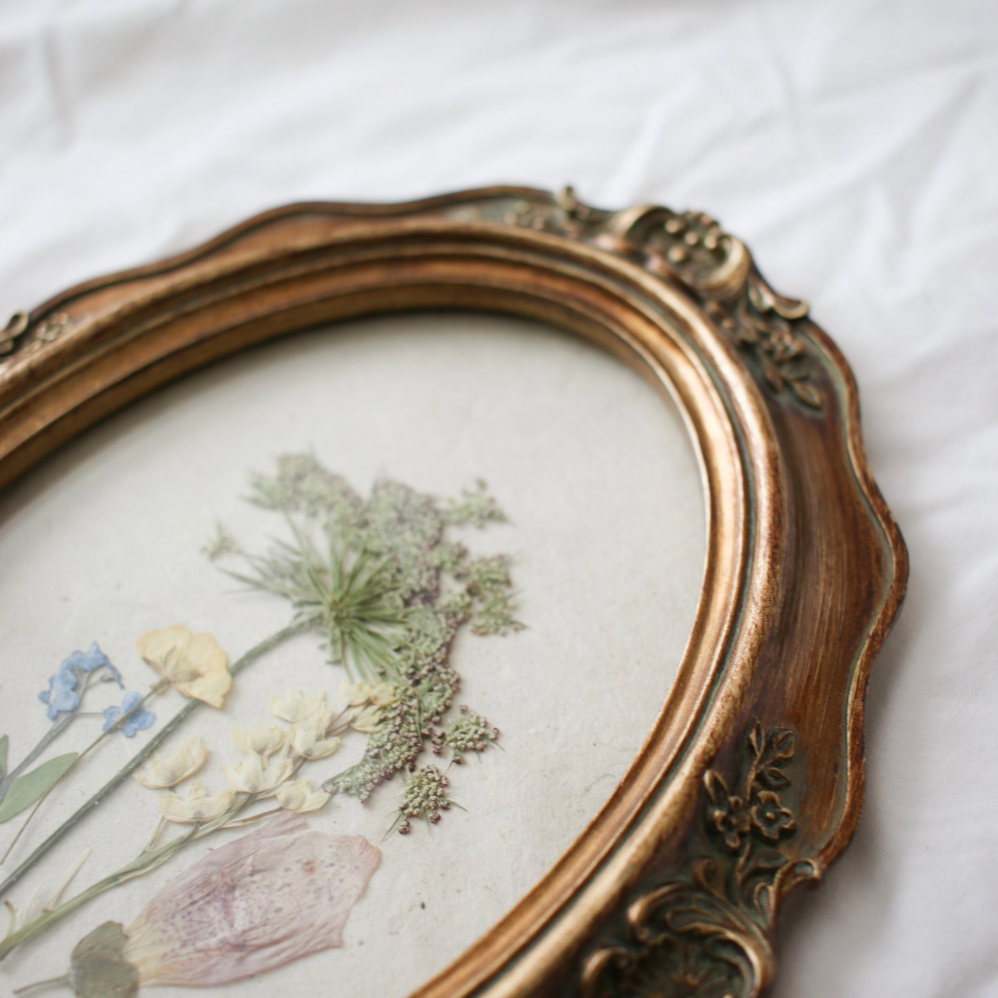 Oval frame with pressed wildflowers