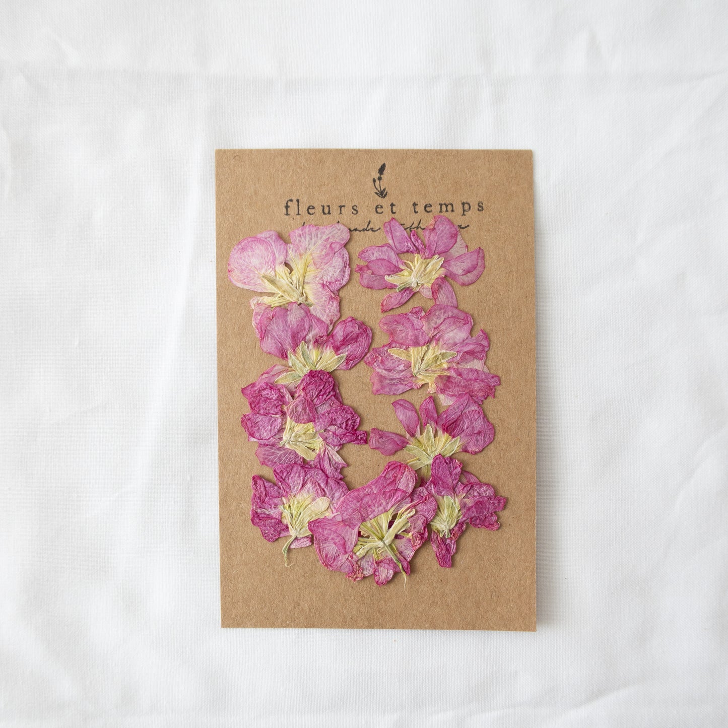 Pressed Pink Stock Flowers