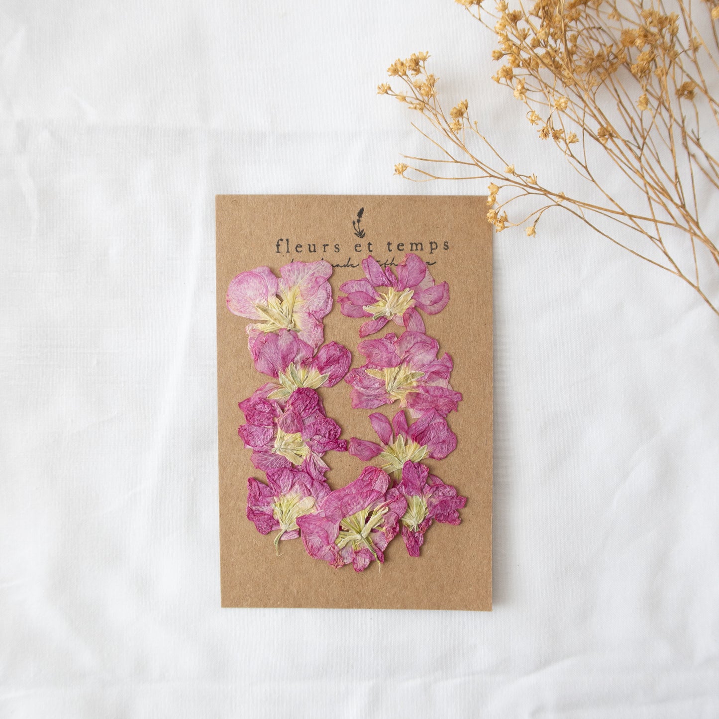 Pressed Pink Stock Flowers