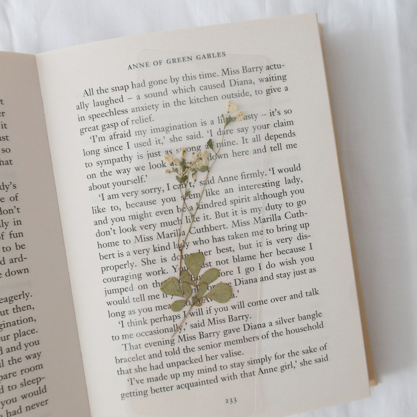 "Diana Barry" Bookmark